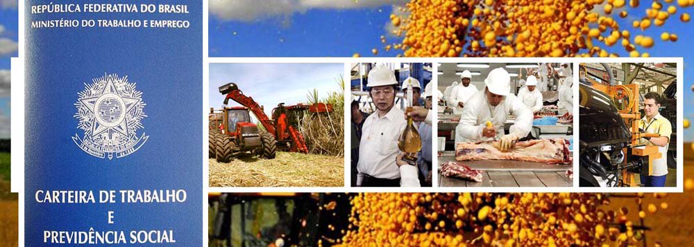 Goiás cria 9,48% das vagas e lidera emprego no Brasil
