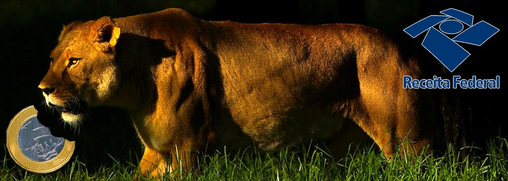 Malha fina vai pegar 500 mil brasileiros em 2013