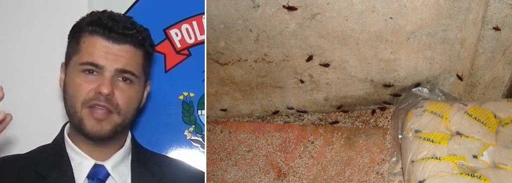 Presos suspeitos de roubar e adulterar leite em Goiás
