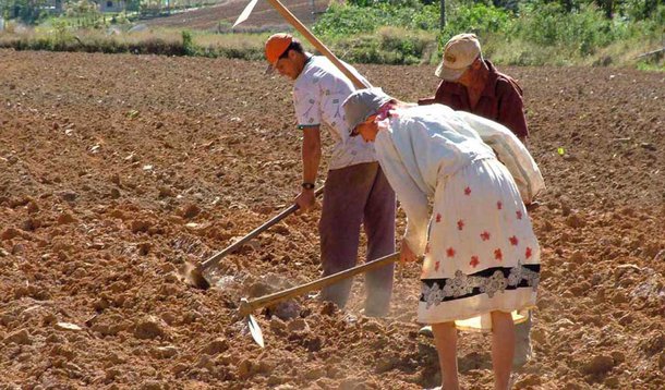 Governo autoriza pagamento do Fundo de Garantia Safra