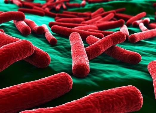 Laboratório confirma contaminações por superbactérias