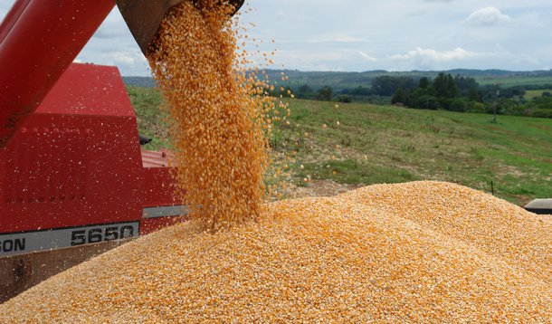 Mato Grosso deverá concentrar 23,5% da produção nacional de grãos
