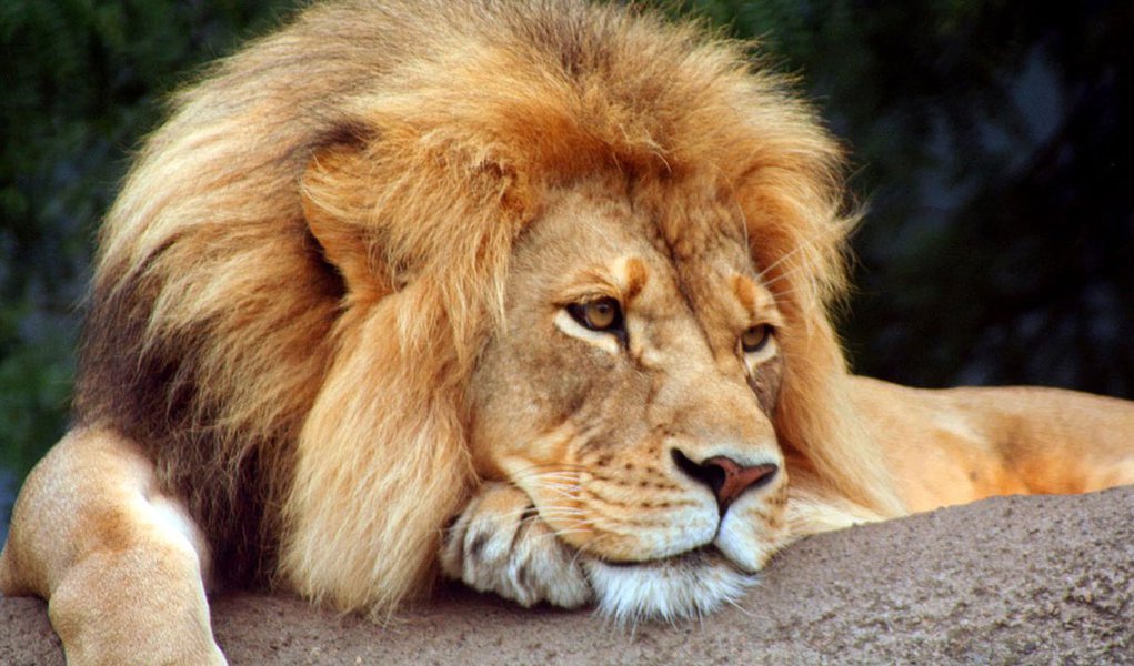 Receita libera hoje restituições do último lote do IR 2011