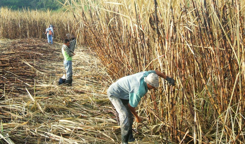 Seca encolhe safra de cana pernambucana em 16,8%