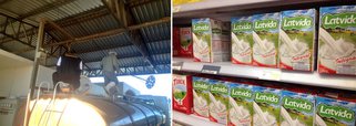 Governo do RS proíbe mais três marcas de leite