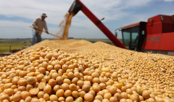 A exportação do agronegócio pode ser afetada pelo acordo EUA-China