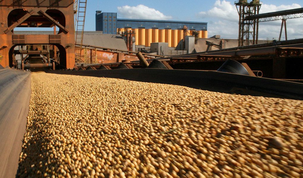 Conab: produção de grãos deve ser 2,8% menor que a da safra anterior