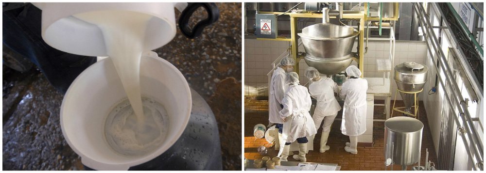 Operação busca quadrilha acusada de adulterar leite