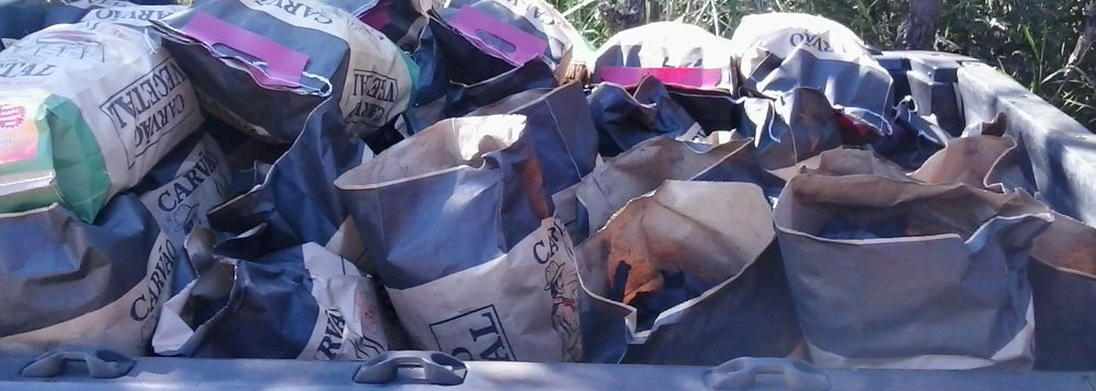 Carvoaria clandestina é desativada em Aparecida