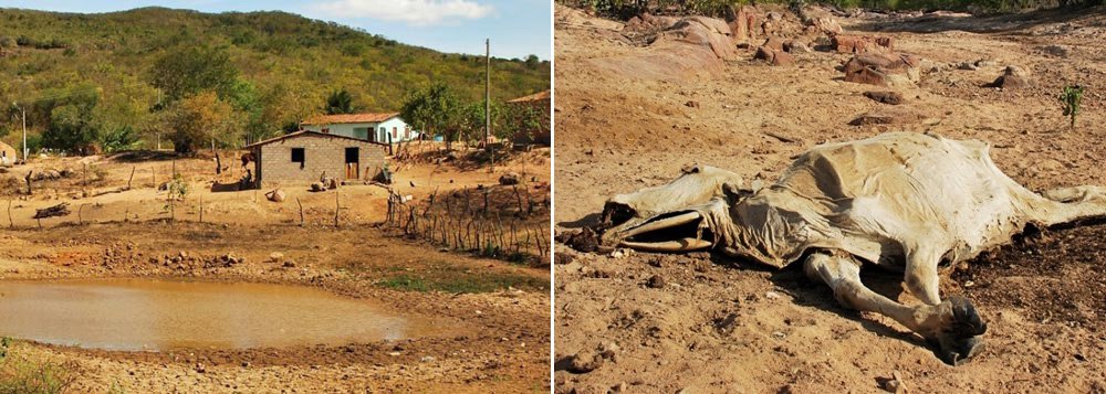 Seca causa prejuízos superiores a R$ 6 bilhões 