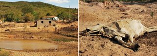 Seca ocasiona prejuízos superiores a R$ 6 bilhões 