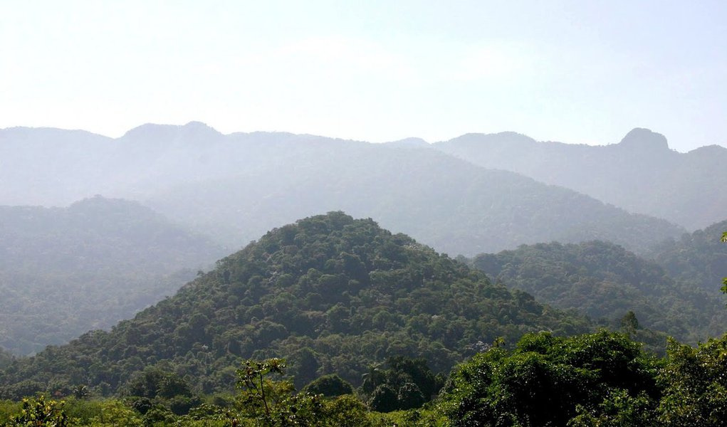 Petrobras é denunciada por não reflorestar reserva