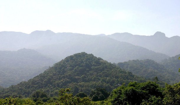 Petrobras é denunciada por não reflorestar reserva