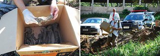 Cemitérios clandestinos descobertos em Alagoas