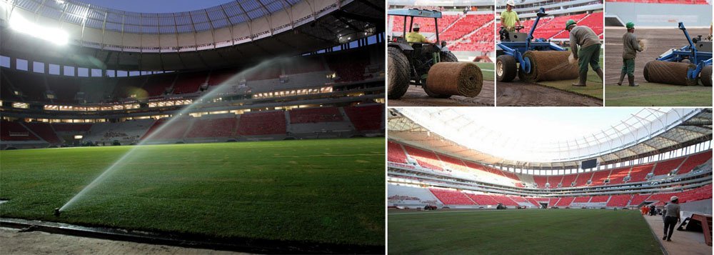 Finalizado o plantio do gramado em Brasília