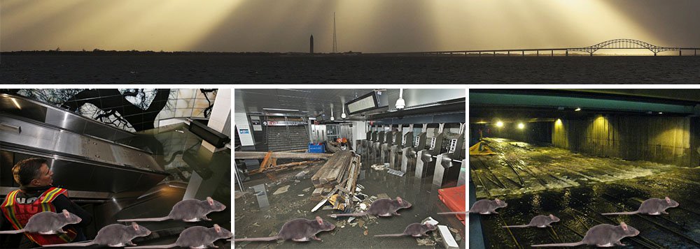 Arrasada Nova York agora teme invasão de ratos