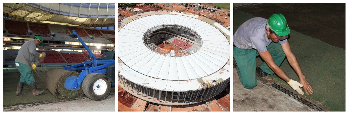 Até quarta o Mané deve estar todo gramado