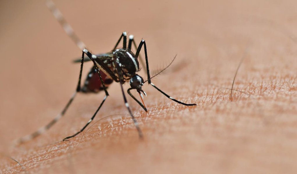 Combate a dengue tem recursos de R$ 5,8 milhões