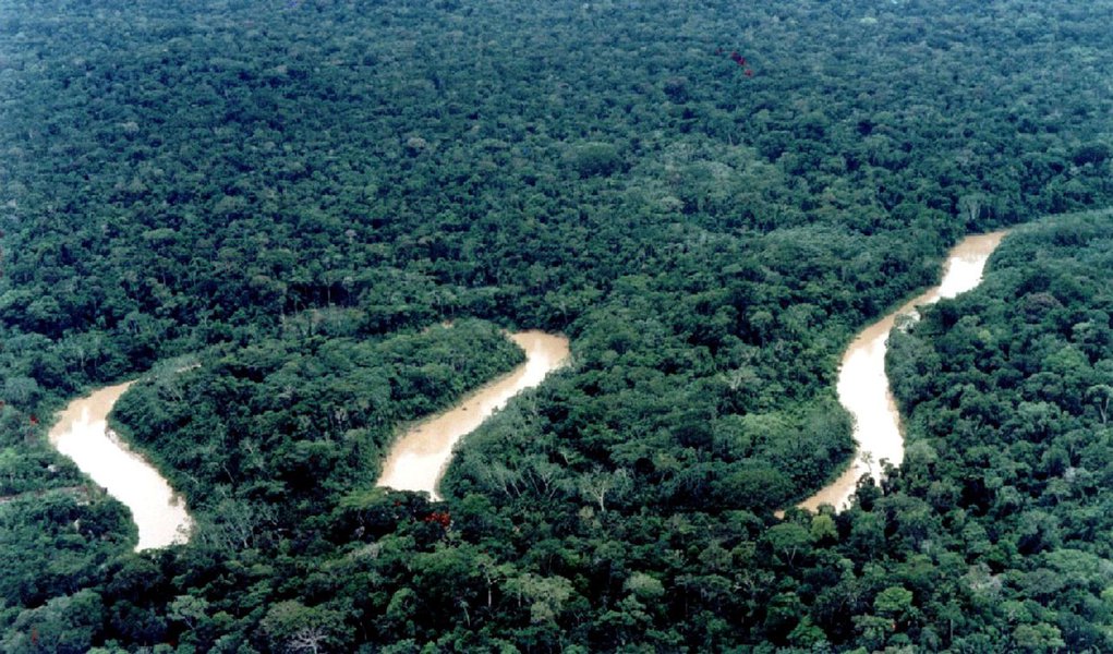 Código Florestal volta à pauta do Congresso
