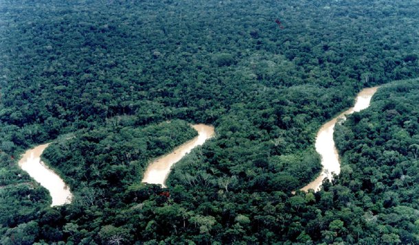 Código Florestal volta à pauta do Congresso