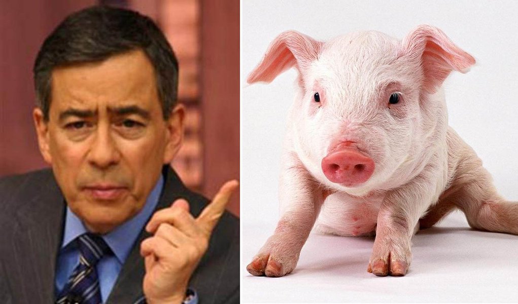 PH processa o que chama de PIG e inclui 247