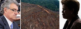DEM quer ir ao STF contra vetos ao Código Florestal