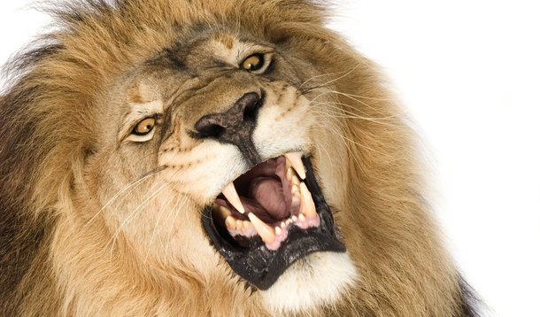 Mordida do IPVA será menor em 2012