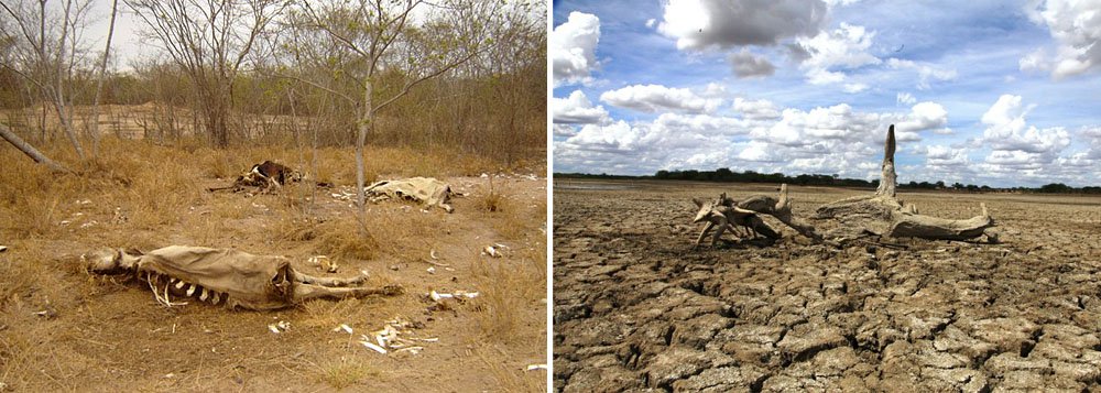 7 mil agricultores ameaçam fazer saques em Alagoas