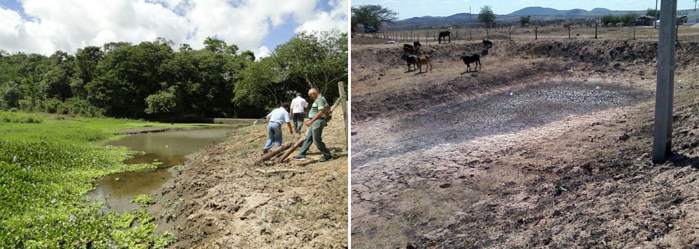 Zona da Mata alagoana começa a enfrentar a pior seca dos últimos 50 anos