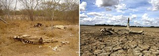 7 mil agricultores ameaçam fazer saques em Alagoas