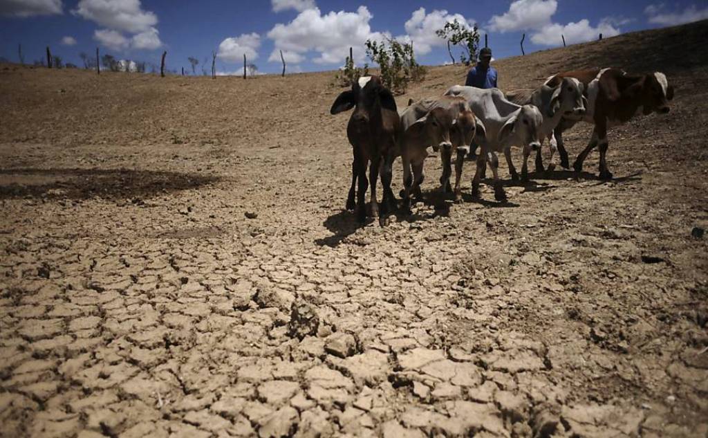 Seca: "Sergipe poderia declarar emergência em todos os 75 municípios"