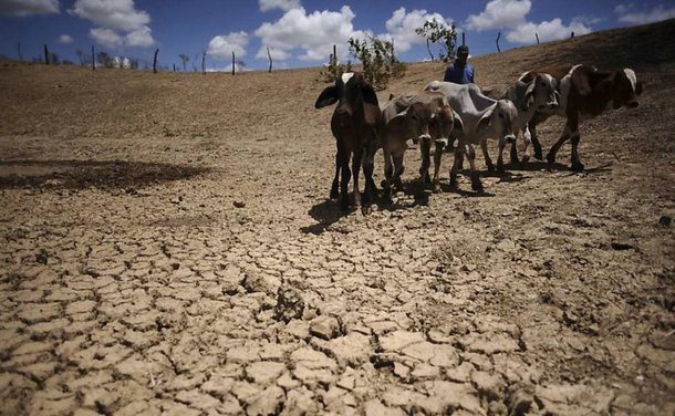 Seca: "Sergipe poderia declarar emergência em todos os 75 municípios"