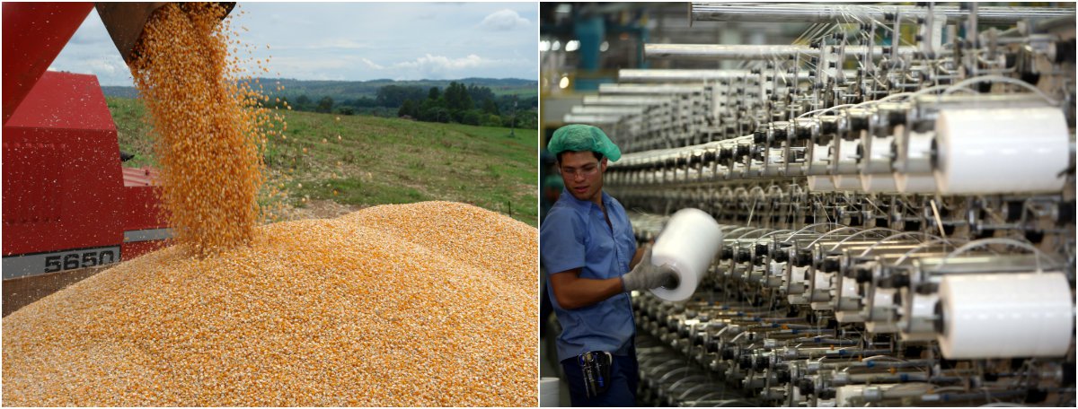 BC: Agropecuária e indústria vão contribuir para expansão