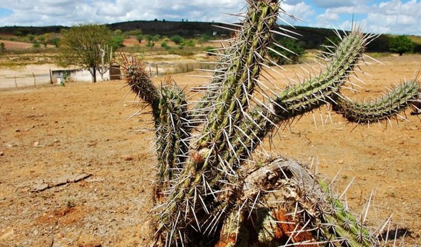 Governo Federal amplia ajuda para combater a seca