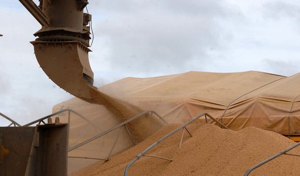 Exportações mineiras de soja aumentam 65,5%