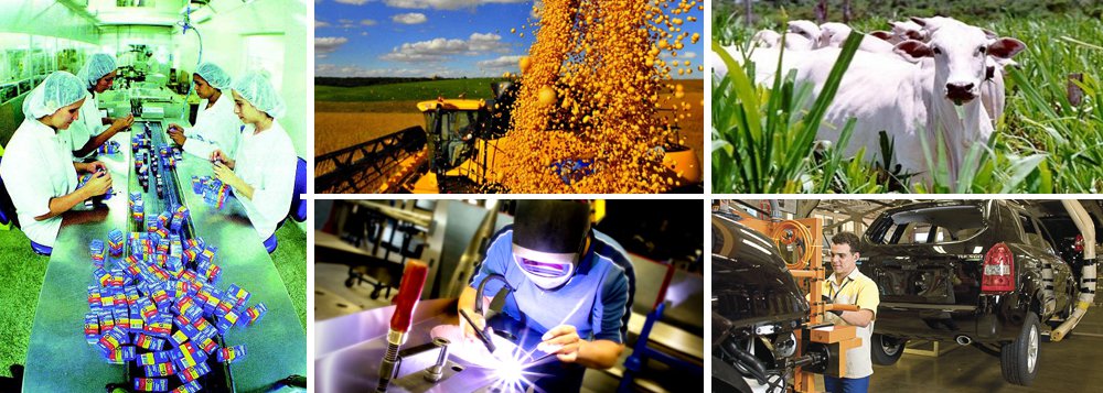 Puxado pela agropecuária, PIB goiano cresce 3,8%
