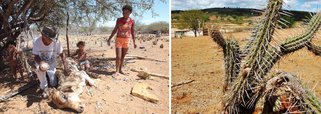Ações de combate a seca são discutidas na Sudene