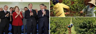 Dilma anuncia três medidas aos produtores de café