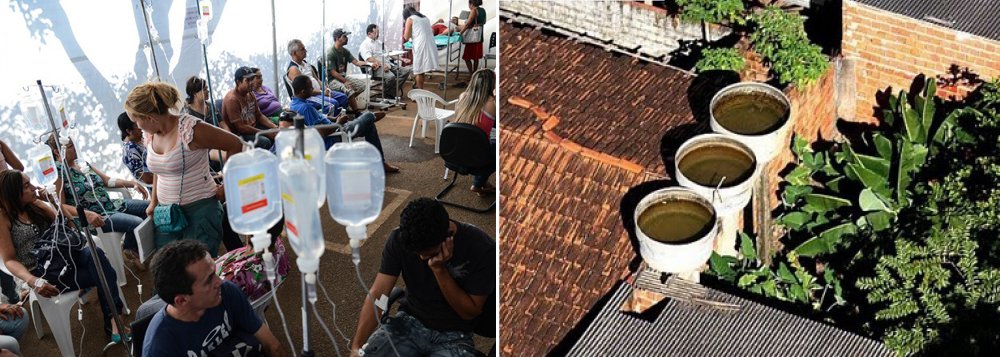 Salvador corre risco de epidemia de dengue
