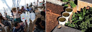 Salvador corre risco de epidemia de dengue