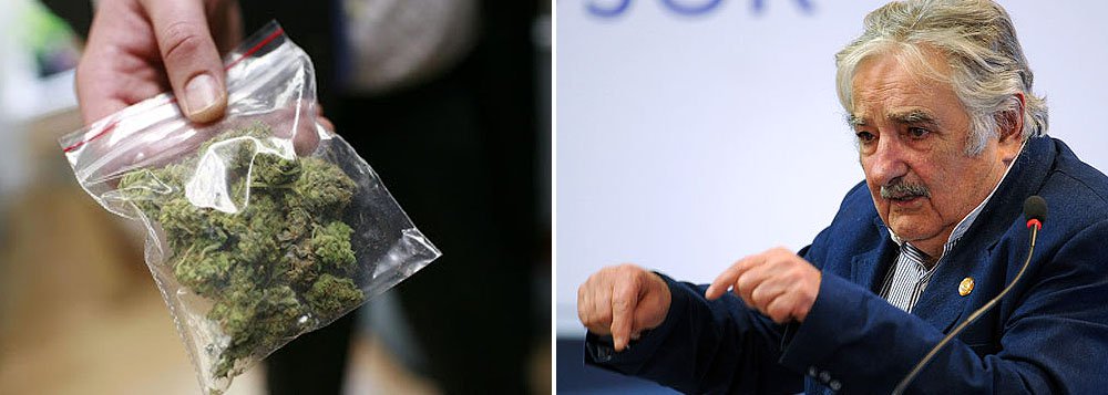 Câmara do Uruguai aprova venda e cultivo de maconha