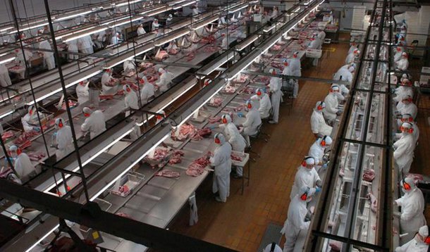 BRF lucra mais de meio bilhão e surpreende