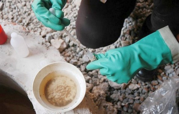 Com 11 mil casos, dengue está fora de controle 