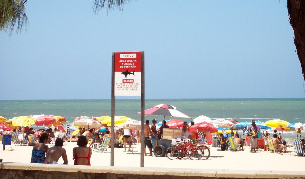 Tubarão ataca e faz mais uma vítima no Recife