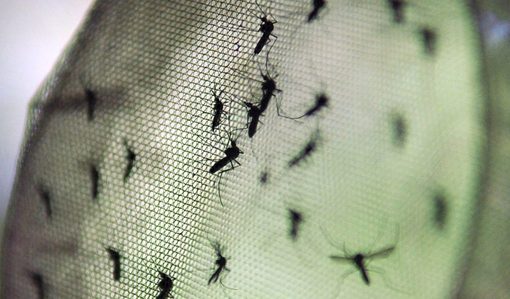 Casos de dengue caem 93% em Pernambuco