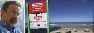 Vereador aciona Suape por ataque de tubarão