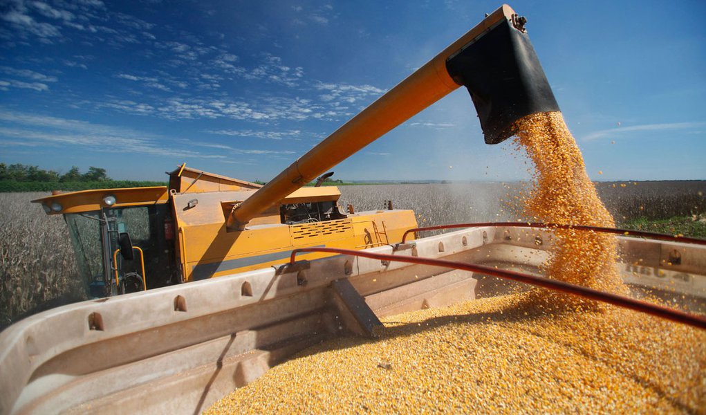 Produtores rurais recebem 25 mil toneladas de milho