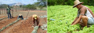 Seca: crédito beneficia 361 mil produtores