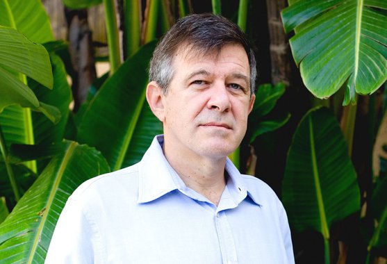 Reinach: 'Governo criou o meio médico, meio escravo'