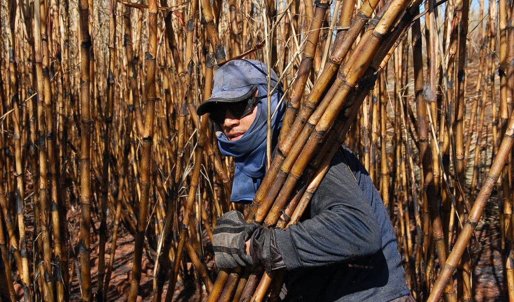 Canavieiros cobram ajuda Federal em função da seca
